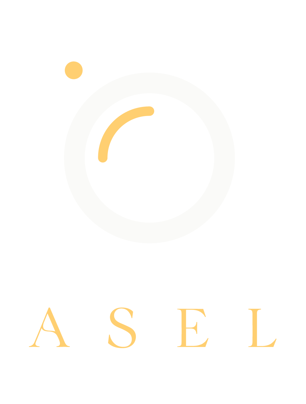 Asel Agency